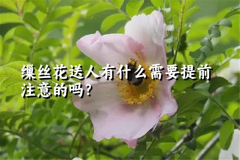 缫丝花送人有什么需要提前注意的吗？