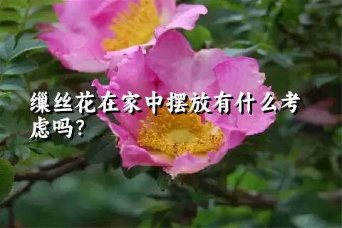 缫丝花在家中摆放有什么考虑吗？