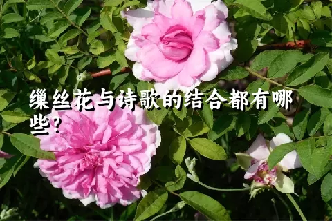 缫丝花与诗歌的结合都有哪些？