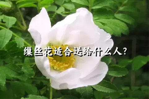 缫丝花适合送给什么人？