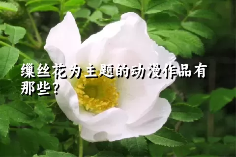 缫丝花为主题的动漫作品有那些？