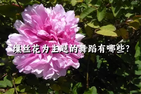 缫丝花为主题的舞蹈有哪些？