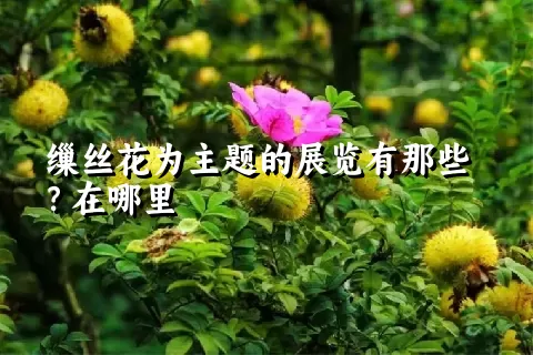 缫丝花为主题的展览有那些？在哪里