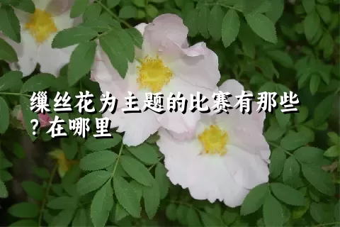 缫丝花为主题的比赛有那些？在哪里