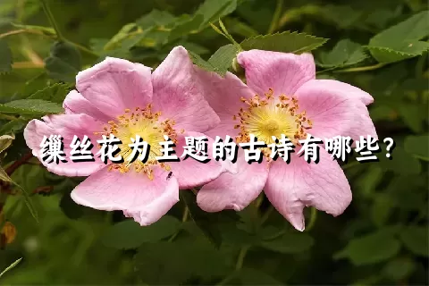 缫丝花为主题的古诗有哪些？