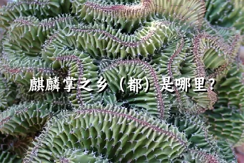 麒麟掌之乡（都）是哪里？