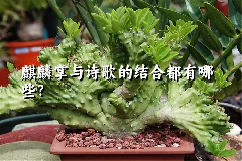 麒麟掌与诗歌的结合都有哪些？