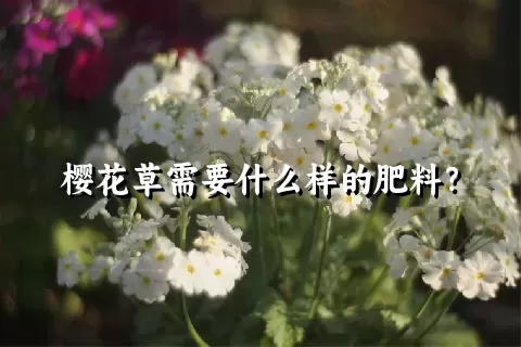 樱花草需要什么样的肥料？