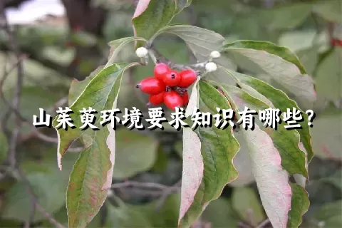 山茱萸环境要求知识有哪些？