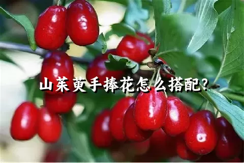 山茱萸手捧花怎么搭配？