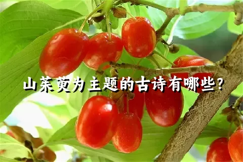 山茱萸为主题的古诗有哪些？