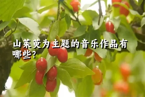 山茱萸为主题的音乐作品有哪些？