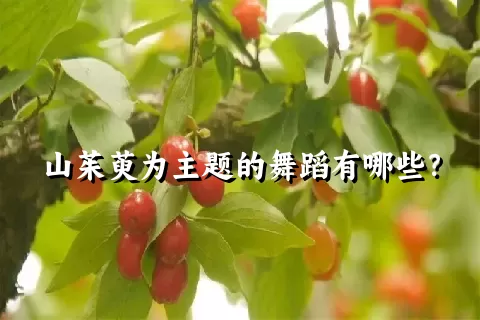 山茱萸为主题的舞蹈有哪些？