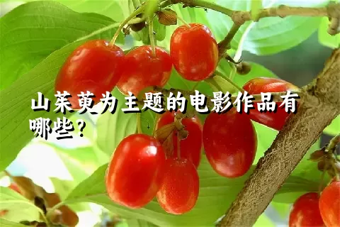 山茱萸为主题的电影作品有哪些？