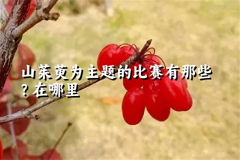 山茱萸为主题的比赛有那些？在哪里