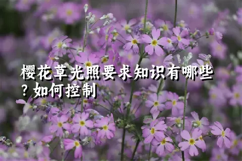 樱花草光照要求知识有哪些？如何控制