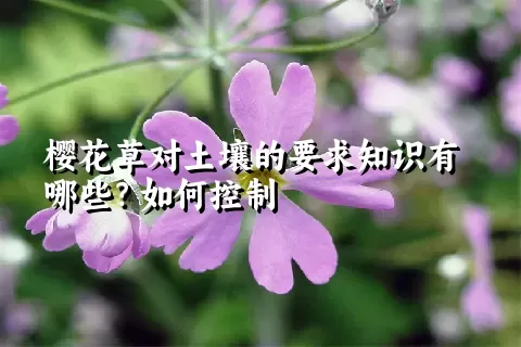 樱花草对土壤的要求知识有哪些？如何控制