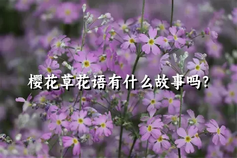 樱花草花语有什么故事吗？