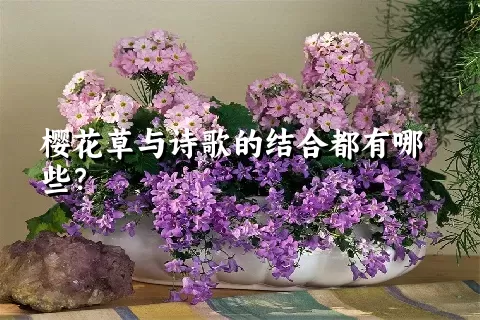 樱花草与诗歌的结合都有哪些？