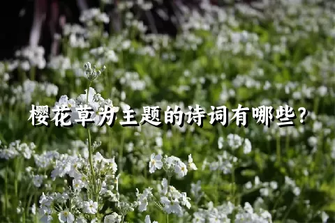 樱花草为主题的诗词有哪些？