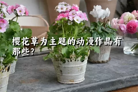 樱花草为主题的动漫作品有那些？