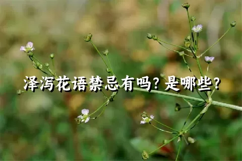 泽泻花语禁忌有吗？是哪些？