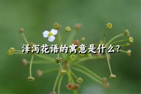 泽泻花语的寓意是什么？