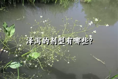 泽泻的剂型有哪些？