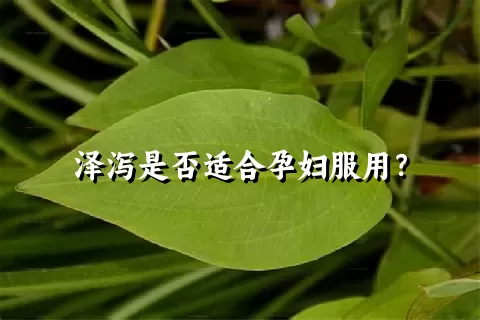 泽泻是否适合孕妇服用？