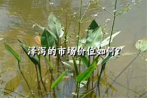 泽泻的市场价位如何？