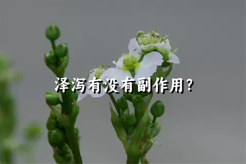 泽泻有没有副作用？