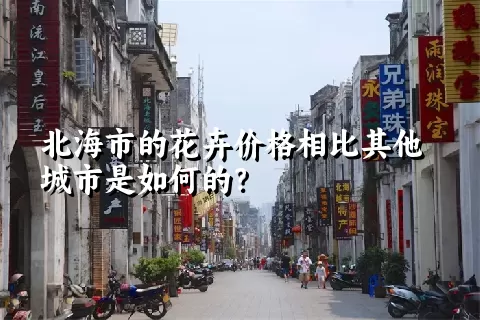 北海市的花卉价格相比其他城市是如何的？