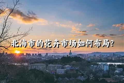 北海市的花卉市场如何布局？