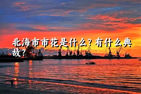 北海市市花是什么？有什么典故？