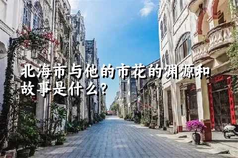 北海市与他的市花的渊源和故事是什么？