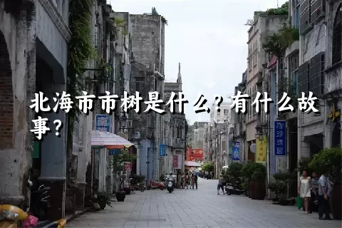 北海市市树是什么？有什么故事？