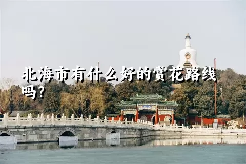 北海市有什么好的赏花路线吗？