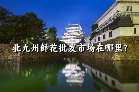 北九州鲜花批发市场在哪里？