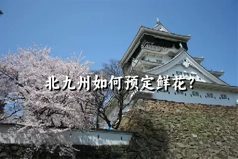 北九州如何预定鲜花？