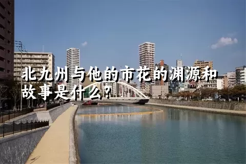 北九州与他的市花的渊源和故事是什么？