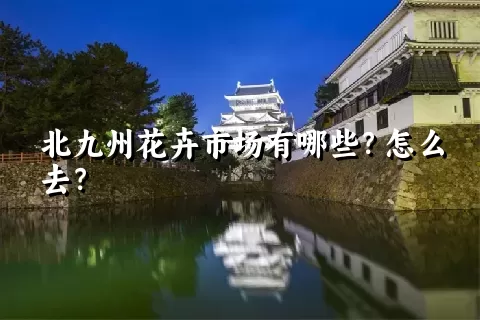 北九州花卉市场有哪些？怎么去？