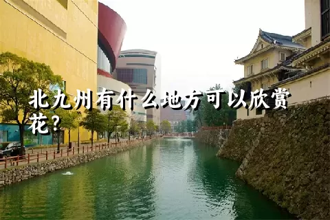 北九州有什么地方可以欣赏花？