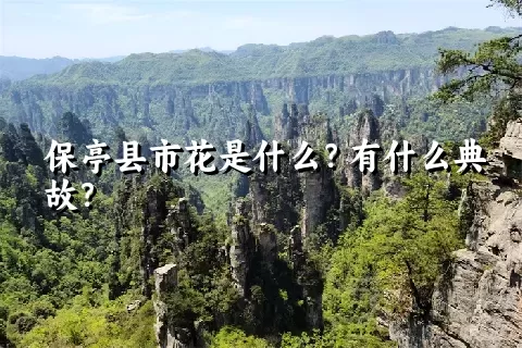 保亭县市花是什么？有什么典故？