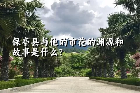 保亭县与他的市花的渊源和故事是什么？