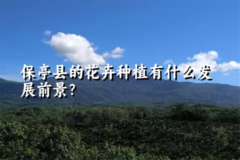 保亭县的花卉种植有什么发展前景？