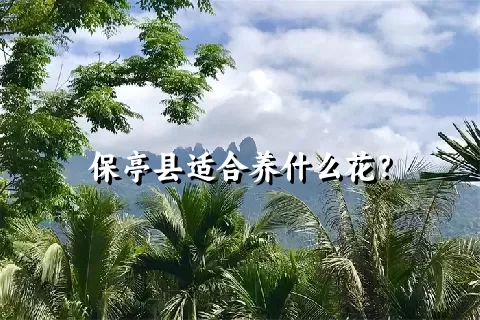 保亭县适合养什么花？