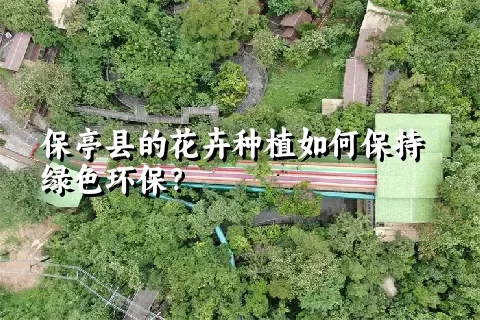 保亭县的花卉种植如何保持绿色环保？