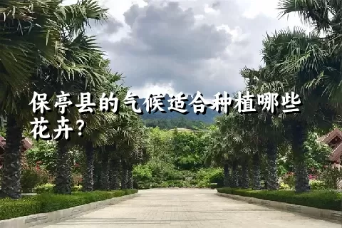 保亭县的气候适合种植哪些花卉？