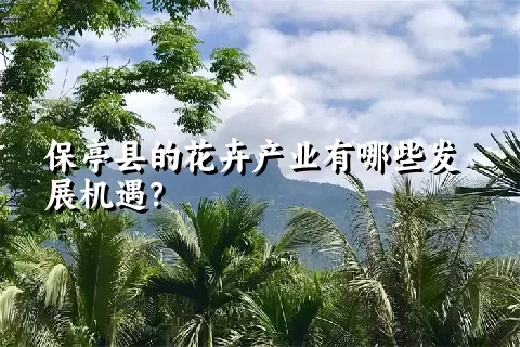 保亭县的花卉产业有哪些发展机遇？