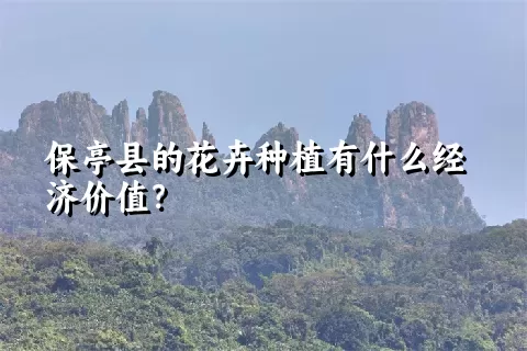 保亭县的花卉种植有什么经济价值？